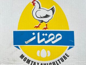 تخم مرغ ممتاز12.5