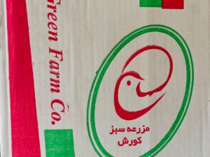 تخم مرغ کوروش سبز