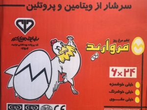 تخم مرغ بسته بندی24*6