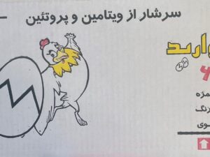 تخم مرغ بسته بندی 20*6