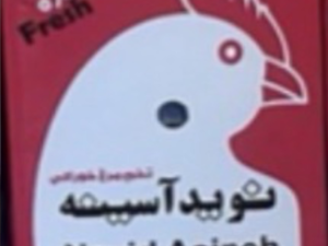 تخم مرغ نوید آسینه12.5
