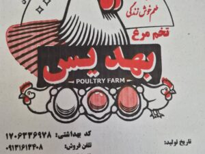 تخم مرغ بهدیس11.0