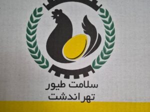 تخم مرغ سلامت12.2