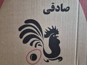 تخم مرغ صادقی 12.3