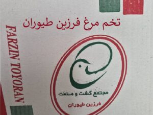 تخم مرغ فرزین 11.8